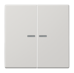 Клавиша двойная с линзами JUNG LS 990, светло-серый