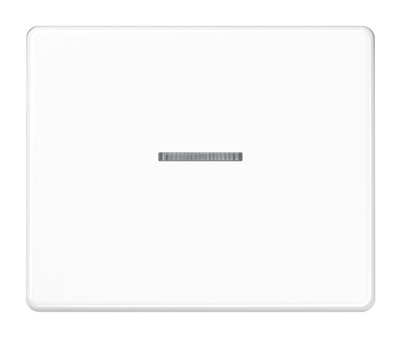 JUNG Белая Клавиша с окошком